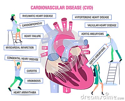 Human heart medical poster. Doctor, nurse and cardiologist study heart disease. Vector illustration in comic style Vector Illustration